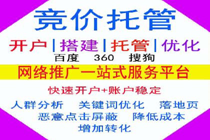 揭秘：成功SEM推广代运营公司案例解析